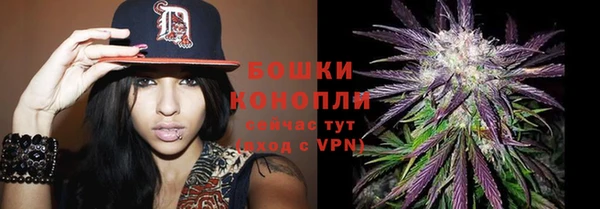 прущие грибы Богородицк