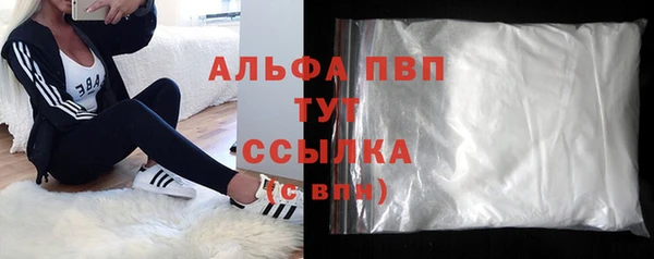 прущие грибы Богородицк
