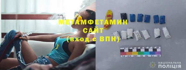 прущие грибы Богородицк