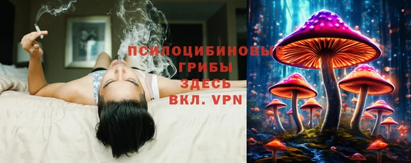 мдпв Семёнов