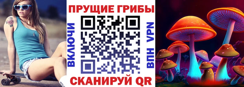 Галлюциногенные грибы Psilocybe  Малоярославец 
