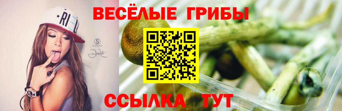 Галлюциногенные грибы мицелий  Вход с VPN  Малоярославец 